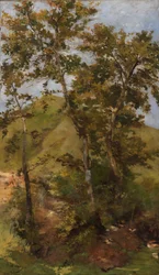 Brook Brook